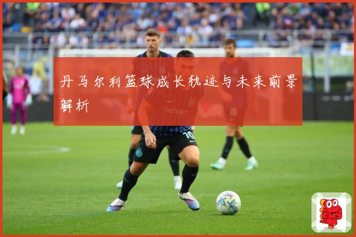 丹马尔利篮球成长轨迹与未来前景解析